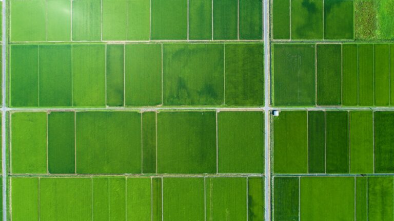 Green hydrogen